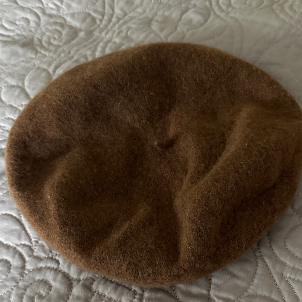 Cozy Brown Beret